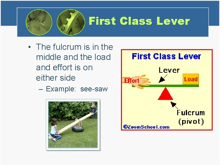 First Class Lever • The fulcrum is in the middle and the load and