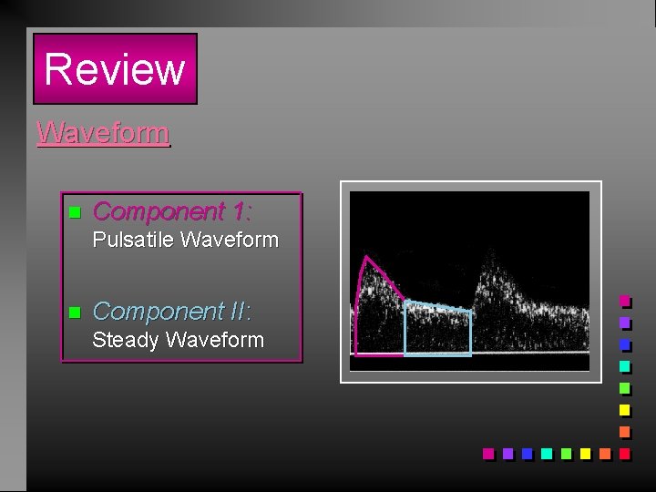 Review Waveform n Component 1: Pulsatile Waveform n Component II: Steady Waveform 