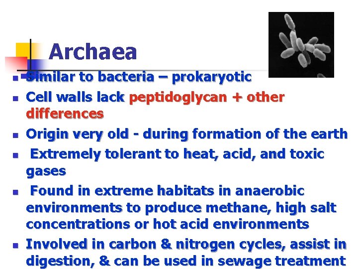 Archaea n n n Similar to bacteria – prokaryotic Cell walls lack peptidoglycan +