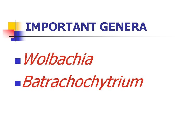 IMPORTANT GENERA Wolbachia n. Batrachochytrium n 