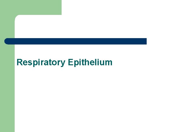 Respiratory Epithelium 