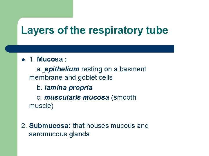 Layers of the respiratory tube l 1. Mucosa : a. epithelium resting on a