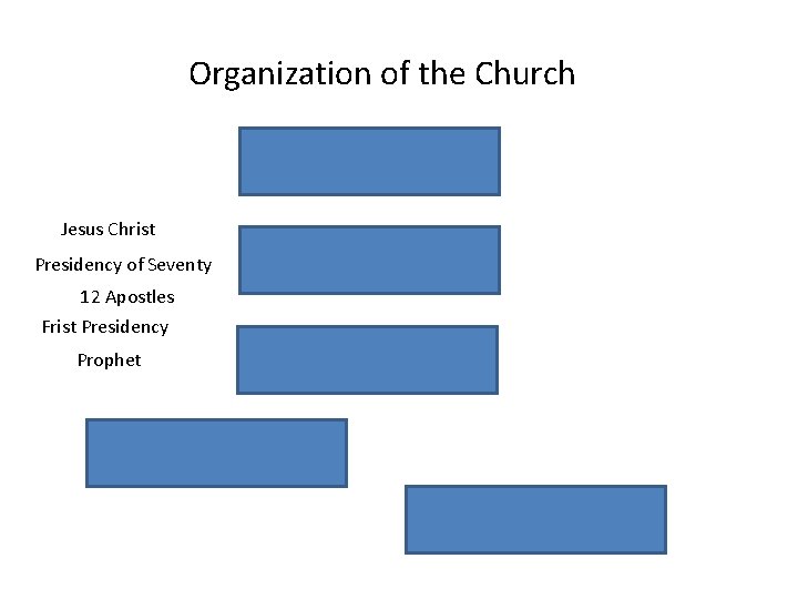 Organization of the Church Jesus Christ Presidency of Seventy 12 Apostles Frist Presidency Prophet