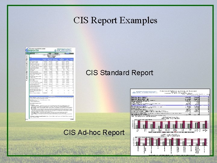 CIS Report Examples CIS Standard Report CIS Ad-hoc Report 