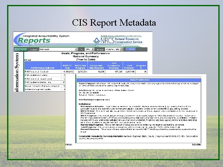 CIS Report Metadata 