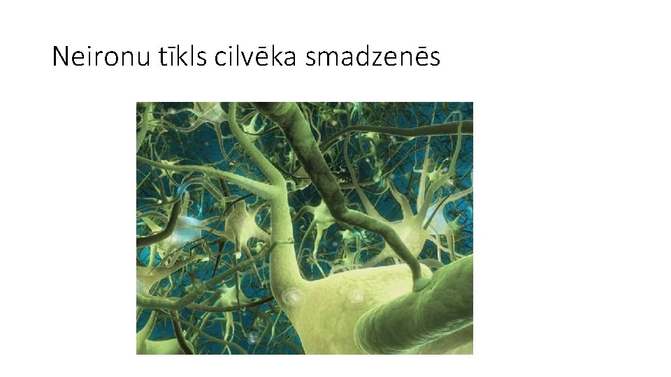 Neironu tīkls cilvēka smadzenēs 