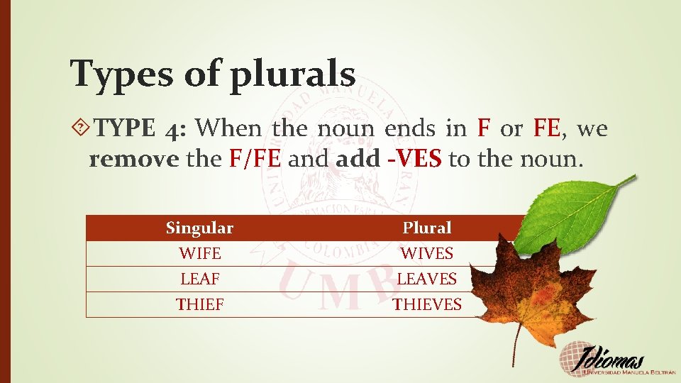 Types of plurals TYPE 4: When the noun ends in F or FE, we