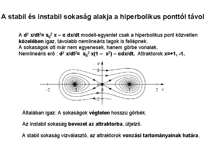 A stabil és instabil sokaság alakja a hiperbolikus ponttól távol A d 2 x/dt