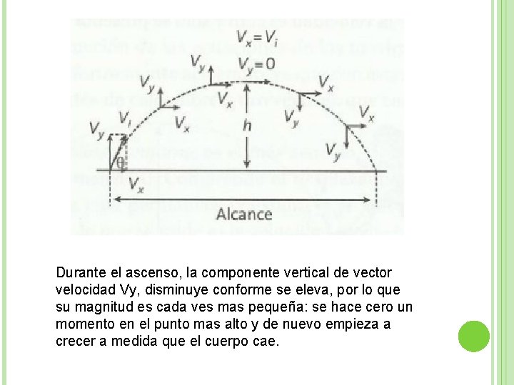 Durante el ascenso, la componente vertical de vector velocidad Vy, disminuye conforme se eleva,