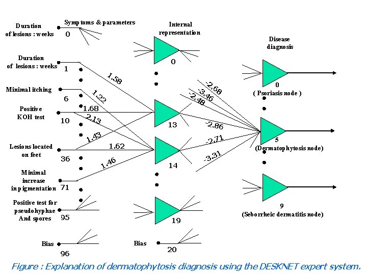 Duration of lesions : weeks Symptoms & parameters 0 6 Positive KOH test Lesions