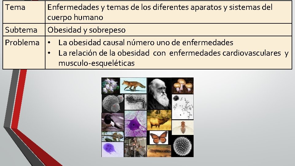 Tema Enfermedades y temas de los diferentes aparatos y sistemas del cuerpo humano Subtema