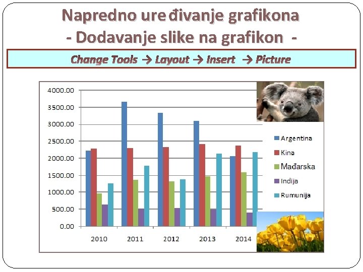 Napredno ure đivanje grafikona - Dodavanje slike na grafikon Change Tools → Layout →