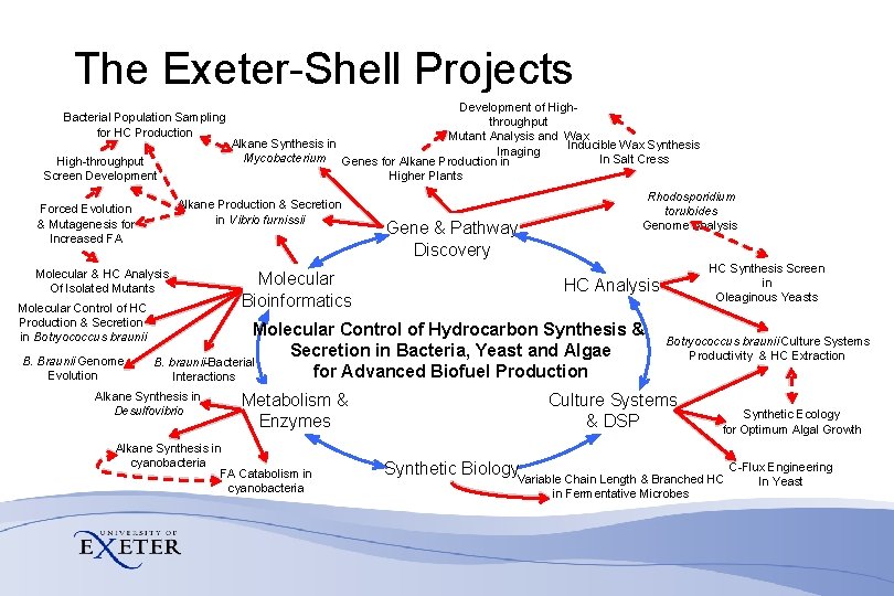 The Exeter-Shell Projects Bacterial Population Sampling for HC Production High-throughput Screen Development Alkane Production
