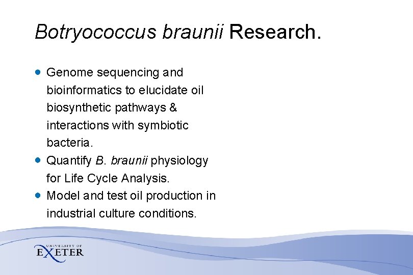 Botryococcus braunii Research. Genome sequencing and bioinformatics to elucidate oil biosynthetic pathways & interactions