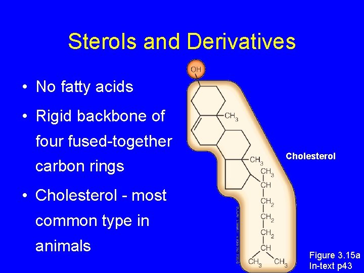 Sterols and Derivatives • No fatty acids • Rigid backbone of four fused-together carbon Sterols and Derivatives • No fatty acids • Rigid backbone of four fused-together carbon
