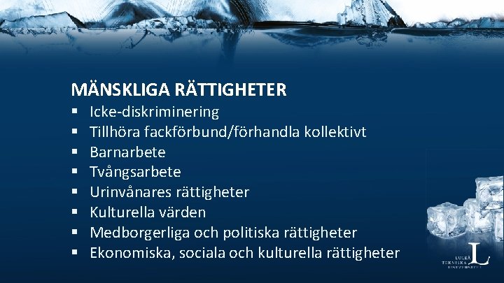 MÄNSKLIGA RÄTTIGHETER § § § § Icke-diskriminering Tillhöra fackförbund/förhandla kollektivt Barnarbete Tvångsarbete Urinvånares rättigheter