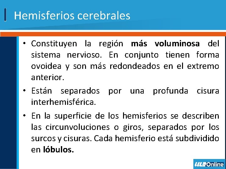 Hemisferios cerebrales • Constituyen la región más voluminosa del sistema nervioso. En conjunto tienen