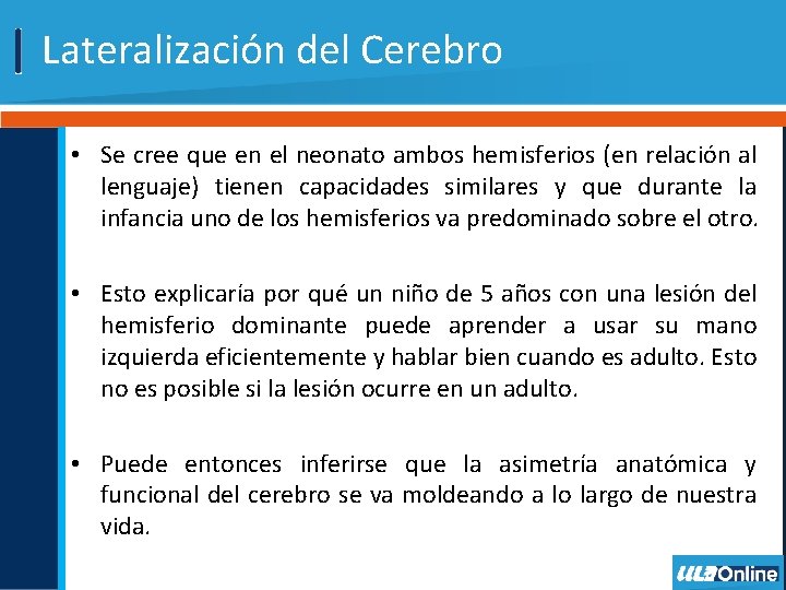 Lateralización del Cerebro • Se cree que en el neonato ambos hemisferios (en relación