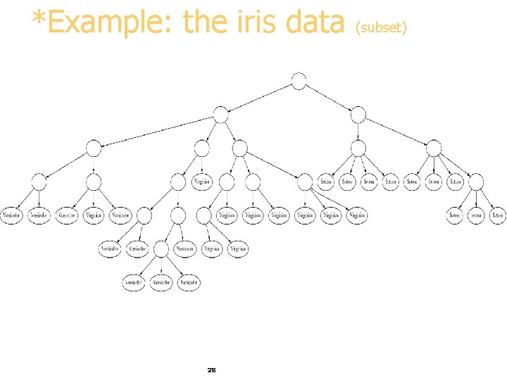 *Example: the iris data 28 (subset) 