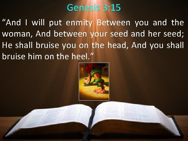 Genesis 3: 15 “And I will put enmity Between you and the woman, And