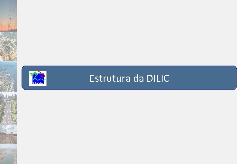 Estrutura da DILIC 