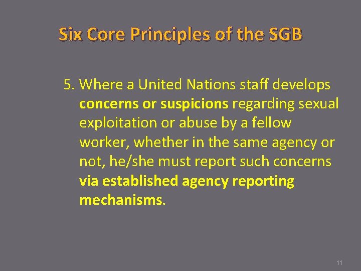 Six Core Principles of the SGB 5. Where a United Nations staff develops concerns