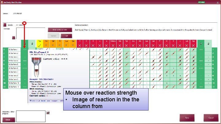 Mouse over reaction strength • Image of reaction in the column from 29 
