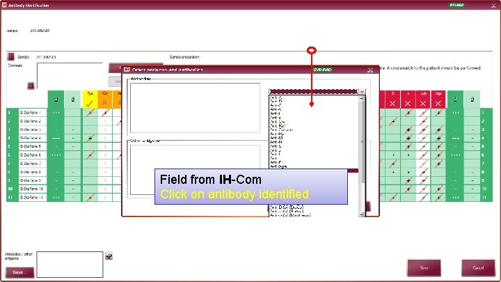 Field from IH-Com Click on antibody identified 35 