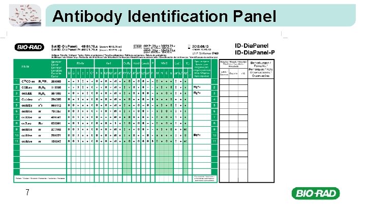 Antibody Identification Panel 7 