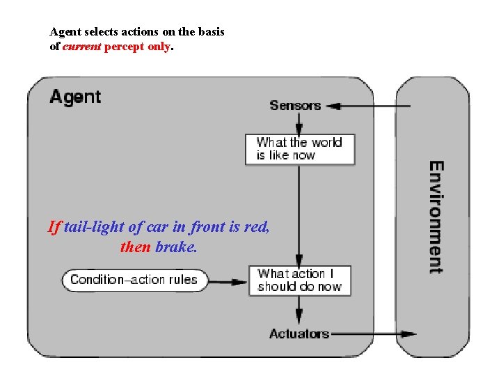 Agent selects actions on the basis of current percept only. If tail-light of car