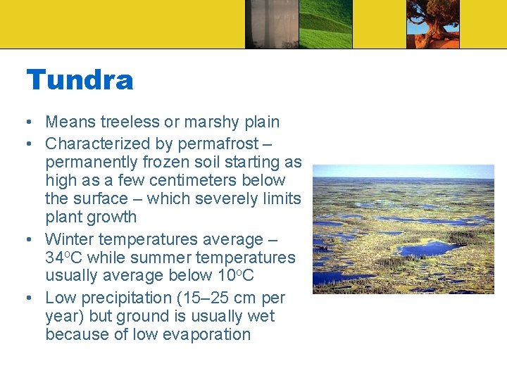 Tundra • Means treeless or marshy plain • Characterized by permafrost – permanently frozen