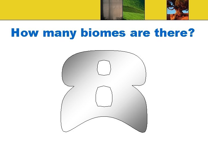 How many biomes are there? 