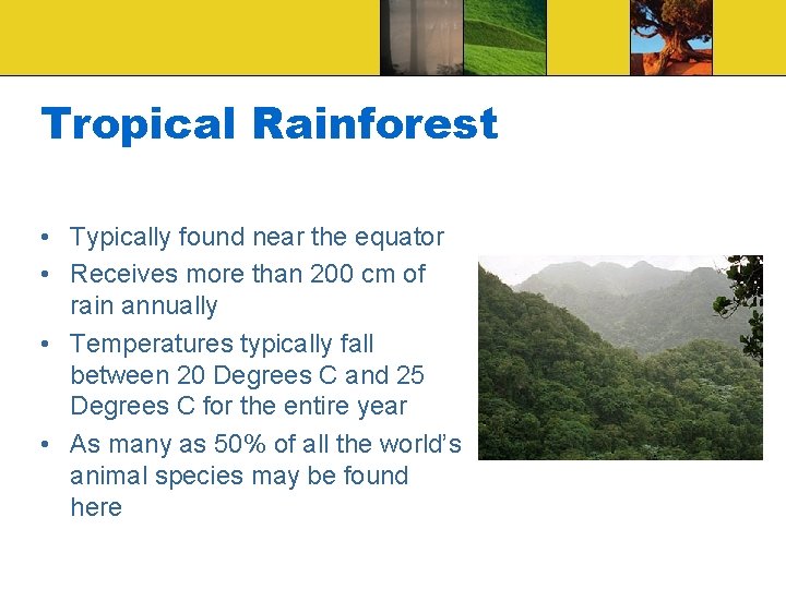 Tropical Rainforest • Typically found near the equator • Receives more than 200 cm