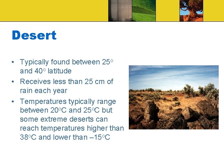 Desert • Typically found between 25 o and 40 o latitude • Receives less