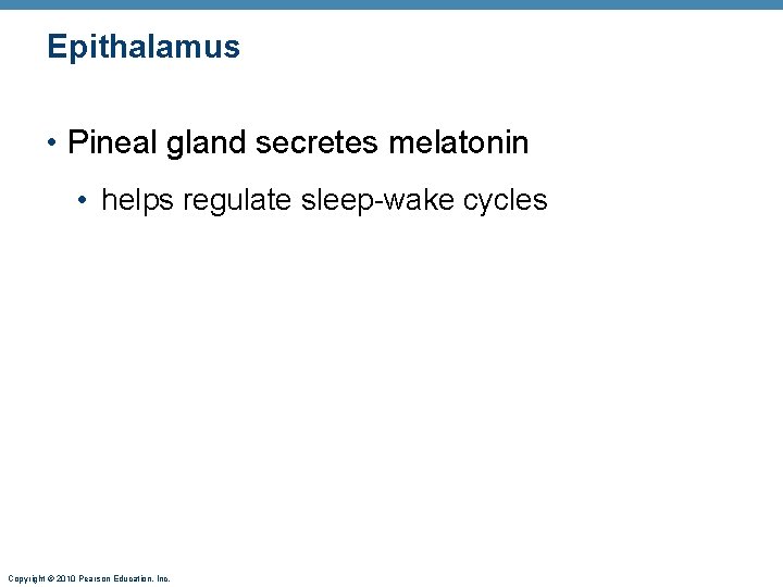 Epithalamus • Pineal gland secretes melatonin • helps regulate sleep-wake cycles Copyright © 2010