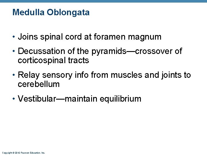 Medulla Oblongata • Joins spinal cord at foramen magnum • Decussation of the pyramids—crossover