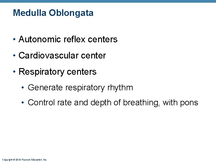 Medulla Oblongata • Autonomic reflex centers • Cardiovascular center • Respiratory centers • Generate