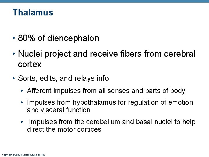 Thalamus • 80% of diencephalon • Nuclei project and receive fibers from cerebral cortex