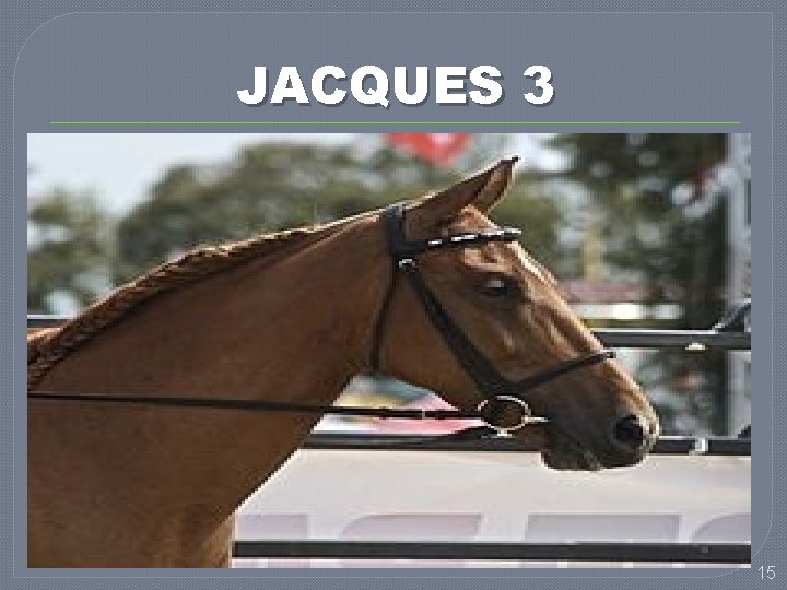 JACQUES 3 2 Or, nous bronchons tous en plusieurs choses. Si quelqu’un ne bronche