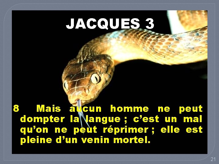 JACQUES 3 8 Mais aucun homme ne peut dompter la langue ; c’est un