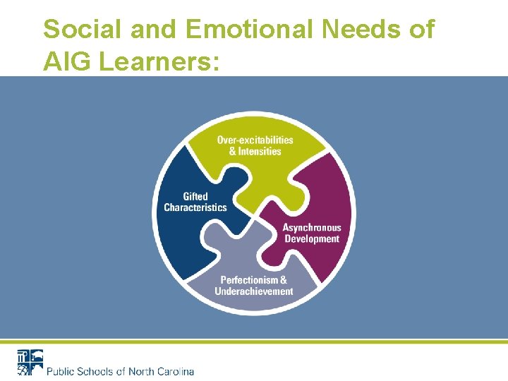 Social and Emotional Needs of AIG Learners: 