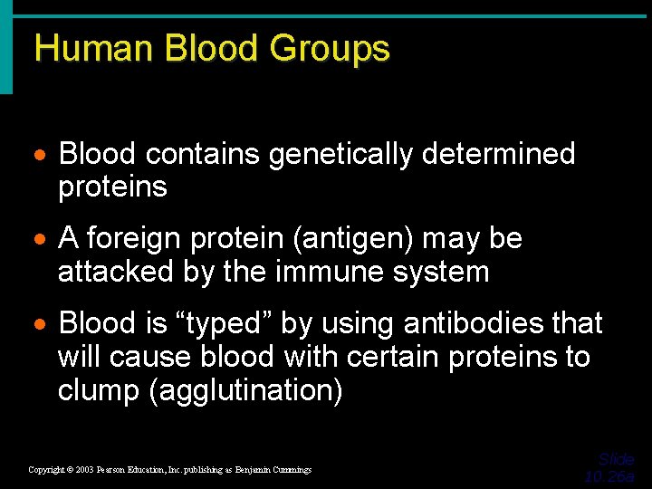 Human Blood Groups · Blood contains genetically determined proteins · A foreign protein (antigen)