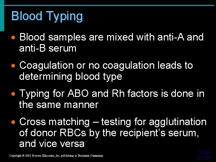 Blood Typing · Blood samples are mixed with anti-A and anti-B serum · Coagulation