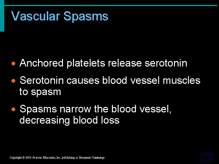 Vascular Spasms · Anchored platelets release serotonin · Serotonin causes blood vessel muscles to