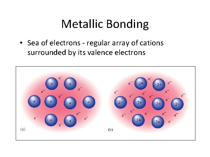Metallic Bonding • Sea of electrons - regular array of cations surrounded by its
