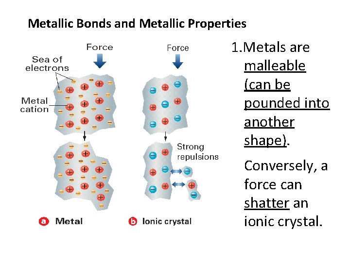 Metallic Bonds and Metallic Properties 1. Metals are malleable (can be pounded into another