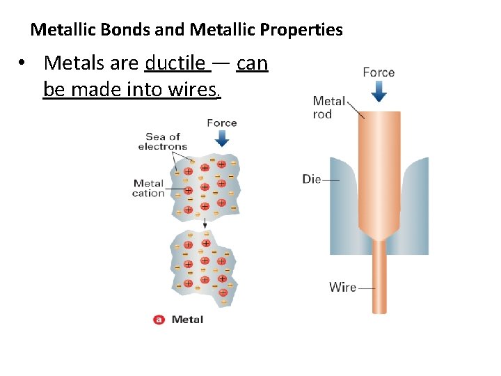 Metallic Bonds and Metallic Properties • Metals are ductile — can be made into