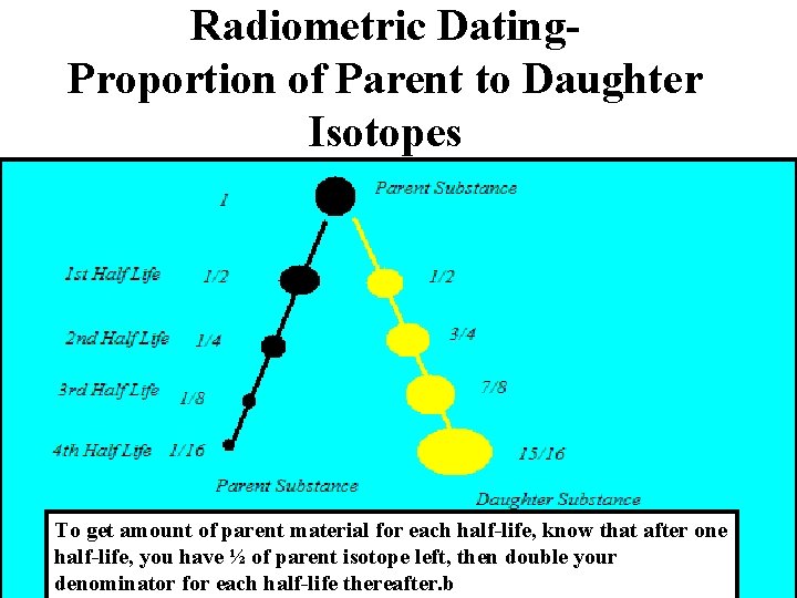 Radiometric Dating. Proportion of Parent to Daughter Isotopes To get amount of parent material