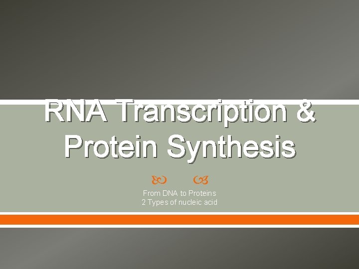 RNA Transcription & Protein Synthesis From DNA to Proteins 2 Types of nucleic acid