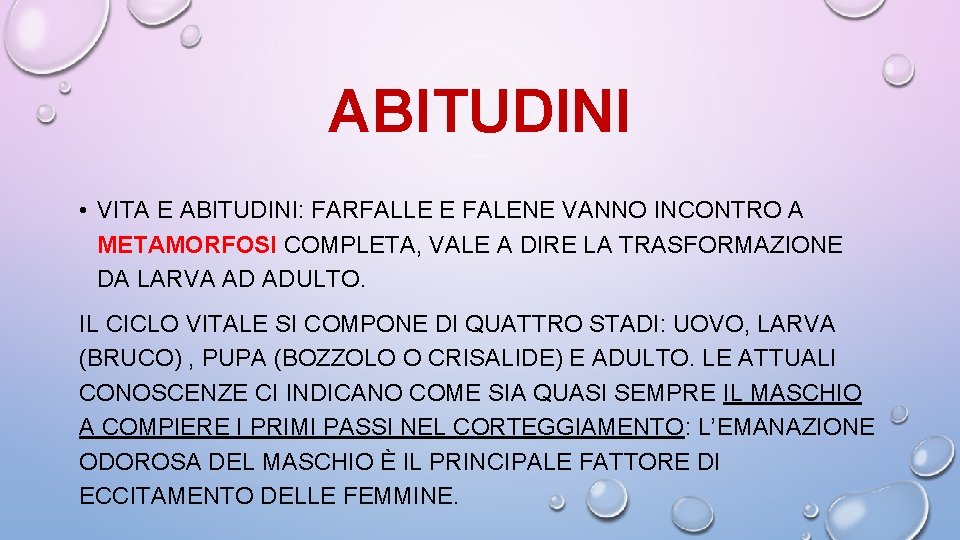 ABITUDINI • VITA E ABITUDINI: FARFALLE E FALENE VANNO INCONTRO A METAMORFOSI COMPLETA, VALE